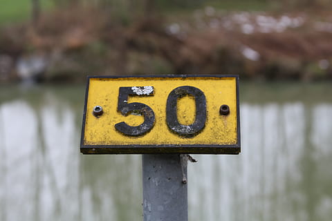 Kennzeichen, Weg, Hinweis, Zeichen, Information, Gelb, Fokus auf den Vordergrund, Nahansicht, Wasser, keine Leute, Tag, Natur, Nummer, draußen, Metall, See, Kommunikation, Pflanze, Pole, Baum, rostig, Moos, 4K, CC0, gemeinfrei, lizenzfrei