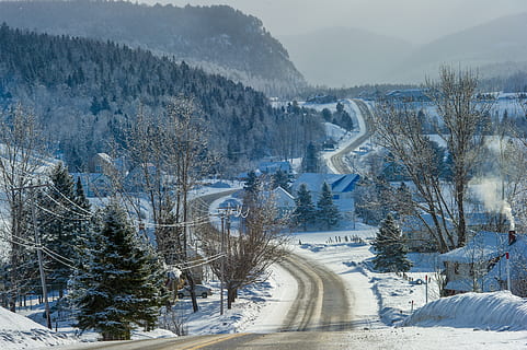carretera de formigó buida, arbre, planta, avet, abies, carretera, muntanya, neu, naturalesa, a l'aire lliure, Canadà, petit-saguenay, petit saguenay, conífera, hivern, edifici, paisatge, gel, pi, picea, temperatura de fred, bellesa a la natura, escenics - natura, dia, tranquil·litat, escena tranquil·la, medi ambient, escena no urbana, cap gent, terra, Color blanc, Serra, muntanya nevada, 4K, CC0, domini públic, lliure de regalies