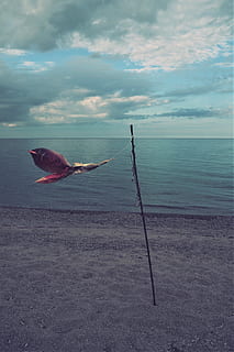 Volare, Mer, ท้องฟ้า, ทะเล, น้ำ, ขอบฟ้า, ขอบฟ้าเหนือน้ำ, เมฆ - ท้องฟ้า, ความงามในธรรมชาติ, ธรรมชาติ, ความเงียบสงบ, ฉากที่เงียบสงบ, ชายหาด, Scenics - ธรรมชาติ, ที่ดิน, วัน, กลางแจ้ง, ไม่มีคน, งดงาม, ฉากที่ไม่ใช่ในเมือง, 4K, CC0, โดเมนสาธารณะ, ค่าลิขสิทธิ์ฟรี