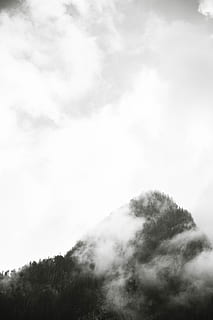 foto em tons de cinza, Pico da montanha, nuvens, fundo, Preto e branco, nublado, névoa, nebuloso, Alto, papel de parede do iphone, panorama, enevoado, montanha, Pinheiros, arvores, papel de parede, clima, nuvem - céu, céu, beleza na natureza, árvore, scenics - natureza, tranquilidade, visão de baixo ângulo, ninguém, natureza, plantar, dia, cena tranquila, cena não urbana, meio Ambiente, ao ar livre, floresta, copie o espaço, copa de árvore, suavidade, 5K, CC0, domínio público, royalty free