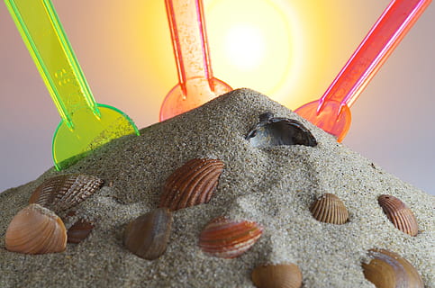 Sand, Löffel, Schale, Sonnenschein, Studioaufnahme, Nahansicht, keine Leute, farbiger Hintergrund, Natur, drinnen, Gesundheitswesen und Medizin, Scharf, Container, Tierwelt, Stillleben, Schutz, mehrfarbig, Gruppe von Objekten, Wissenschaft, Pflege, 4K, CC0, gemeinfrei, lizenzfrei