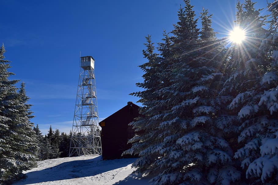 Winter, Schnee, kalt, Natur, Weiß, Landschaft, draußen, winterlich, Bäume, Frost, Turm, Feuerturm, Kabine, Kiefern, Wald, Struktur, Park, Wildnis, Berg, Himmel, Blau, kalte Temperatur, Baum, Sonnenlicht, Pflanze, die Architektur, gebaute Struktur, keine Leute, Flachwinkelansicht, Schönheit in der Natur, Land, Sonne, Tag, Sonnenstrahl, sonnig, Linseneffekt, 4K