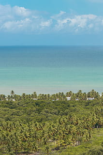 aèria, vista, verd, arbres, platja, núvols, arbres de coco, alba, la llum del dia, medi ambient, exòtic, horitzó, idíl·lic, paisatge, oci, naturalesa, oceà, paradís, relaxació, Resort, sorra, escènic, mar, vora del mar, cel, estiu, tropical, turquesa, vacances, fons de pantalla, aigua, fusta, boscos, bellesa a la natura, arbre, planta, escenics - natura, escena tranquil·la, tranquil·litat, horitzó sobre l’aigua, núvol - cel, terra, dia, cap gent, color verd, a l'aire lliure, color turquesa, 5K, CC0, domini públic, lliure de regalies