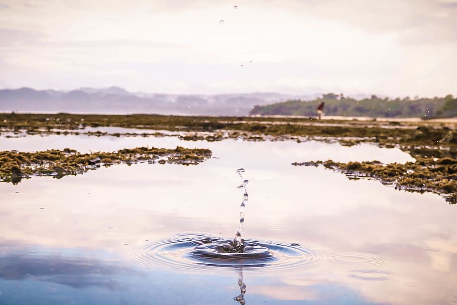 gotes d’aigua, aigua, a l'aire lliure, ondulació, bassal, mar, oceà, terra, naturalesa, humà, persona, illa, tirar, aigua salada, splash, indonèsia, holandès, planta, full, canal, rierol, cel, núvol - cel, reflexió, llac, cap gent, davant del mar, bellesa a la natura, tranquil·litat, ondulat, dia, escena tranquil·la, escenics - natura, centrar-se en primer pla, esquitxades, escena no urbana, puresa, 2K