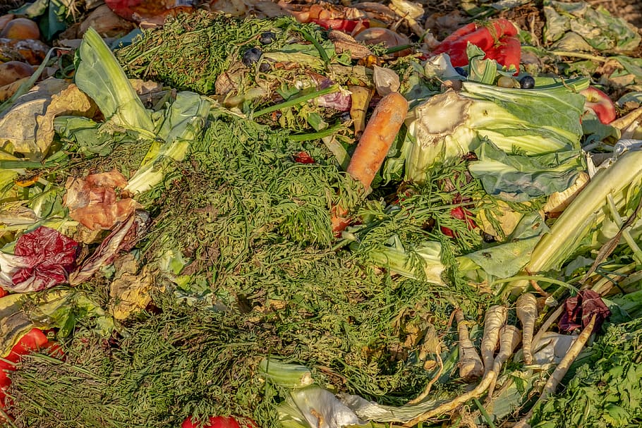 compost, escombraries, biològic, malbaratament, fruita, verdures, receptes amb restes, muntatge de compost, fertilitzant, ecologia, vegetals, alimentació saludable, menjar i beguda, vista d’angle alt, menjar, planta, benestar, color verd, cap gent, naturalesa, dia, frescor, orgànic, full, part de la planta, mercat, a l'aire lliure, creixement, arrel vegetal, a la venda, 4K