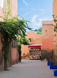 gespa verda, llosa, passarel·la, Camí, paret, paviment, vorera, planta, heura, quiosc, edifici, barri, urbà, decoració de la llar, dosser, tendal, carretera, arbor, jardí, a l'aire lliure, transport, arquitectura, estructura construïda, exterior de l'edifici, arbre, naturalesa, ciutat, cel, el camí a seguir, direcció, carrer, dia, barri residencial, sendera, cap gent, creixement, planta en test, carreró, 4K, CC0, domini públic, lliure de regalies