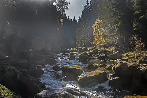 Landschaftsfotografie, Bäume, wunderschönen, Kaskade, Umgebung, fließen, Landschaft, Moos, moosige Felsen, Bewegung, Natur, szenisch, Steine, Strom, Wasserfall, Wasser, Baum, Rock, Pflanze, solide, Rock - Objekt, Wald, Schönheit in der Natur, keine Leute, fließendes Wasser, Tag, Szenen - Natur, Fluss, fließend, Nicht-städtische Szene, Langzeitbelichtung, draußen, 5K, CC0, gemeinfrei, lizenzfrei