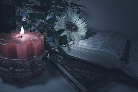 lilin, gelap, buku, gothic, romantis, api, Misteri, gaib, imajinasi, mimpi, bunga, nyata, sihir, sifat mati, menanam, kesegaran, meja, tanaman berbunga, dalam ruangan, alam, tidak ada orang, Book, publikasi, masih hidup, merapatkan, kerapuhan, kerentanan, kertas, daun bunga, keindahan di alam, daun, kepala bunga, 5K, CC0, domain publik, bebas royalti