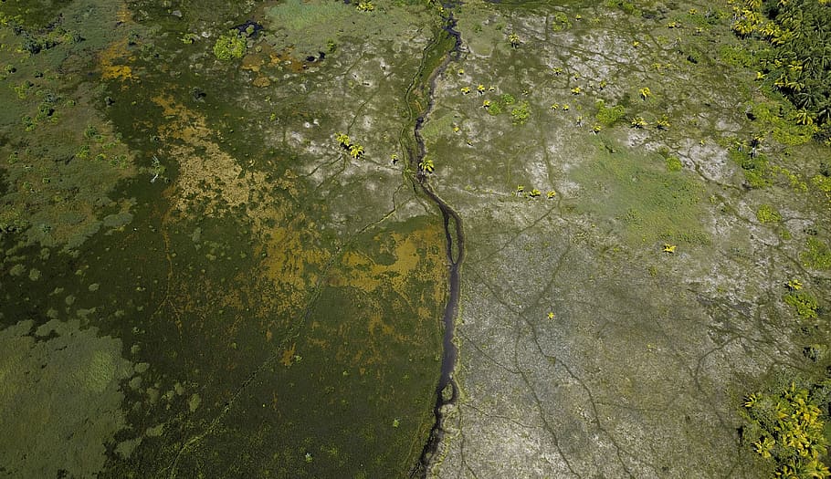 terreno edificabile, colore verde, acqua, nessuno, natura, giorno, pianta, vista dall'alto, muschio, bellezza nella natura, crescita, albero, fotogramma intero, sfondi, all'aperto, alghe, la tranquillità, roccia, lago, ambiente, galleggia sull'acqua, 4K