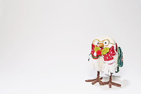 pollo, Natale, Pasqua, natura, pulcino, Halloween, uccello, la neve, di stagione, carina, ornamento, giallo, Grazie, arrostito, web, giovane, del desktop, ettore, tema, vacanza, gioioso, speranza, cibo, uova, auguri, girato in studio, rappresentazione umana, rappresentazione, copia spazio, sfondo bianco, in casa, somiglianza maschile, figurina, arte e artigianato, creatività, natura morta, celebrazione, giocattolo, nessuno, rosso, decorazione, ritagliare, somiglianza femminile, 5K, CC0, dominio pubblico, privo di copyright