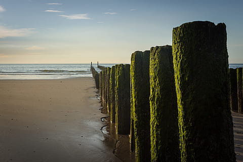 stack, Höft, kribben, kust, houten stapel, zand, Kribbe, water, kustbescherming, strand, zee, zeewier, hout, stapel, land-, hemel, natuur, scenics - natuur, geen mensen, horizon, kalmte, schoonheid in de natuur, horizon over water, groene kleur, rustige scène, fabriek, buitenshuis, dag, in een rij, houten paal, 4K, CC0, publiek domein, royaltyvrij