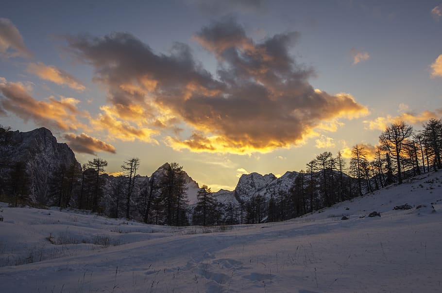 Farnbaum, Weiß, Wolken, Berg, Wolke, Himmel, Natur, Bäume, Berge, Sonnenuntergang, Sonnenaufgang, alpin, Grat, Wald, Dämmerung, kalt, Blau, Szene, Winter, Schnee, Gelb, draußen, wolke - himmel, kalte Temperatur, Szenen - Natur, ruhige Szene, Schönheit in der Natur, Ruhe, Baum, Pflanze, Nicht-städtische Szene, Landschaft, keine Leute, Umgebung, idyllisch, 4K