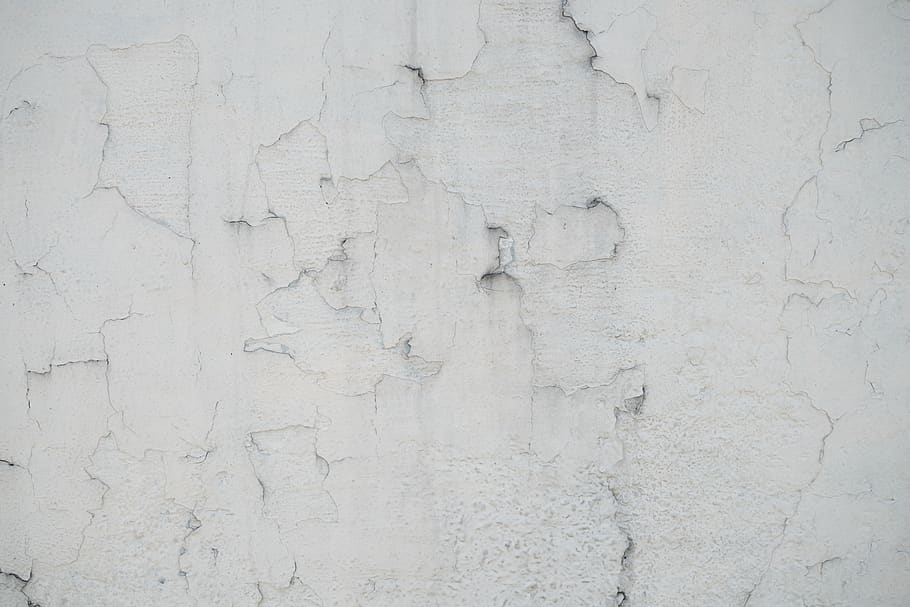 paret, guix, blanc, textura, fons, marc complet, funció de construcció de parets, estructura construïda, arquitectura, patró, cap gent, resistent, aspre, vell, gris, primer pla, Color blanc, dia, esquerdat, concret, a l'aire lliure, espatllat, ciment, efecte texturat, 5K