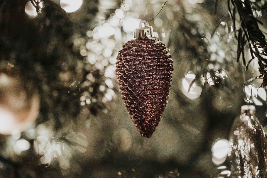 con de pi marró, arbre, planta, invertebrat, animal, insecte, ornament, avet, abies, decoració de la llar, arbre de Nadal, conífera, esfera, llum, decoració, weihnachten, ornaments, disseny d'interiors, festa, desembre, Nadal, centrar-se en primer pla, cap gent, primer pla, dia, naturalesa, penjant, a l'aire lliure, enfocament selectiu, adorn de Nadal, decoració de Nadal, celebració, branca, vista d’angle baix, creixement, hivern, arbre de coníferes, 5K