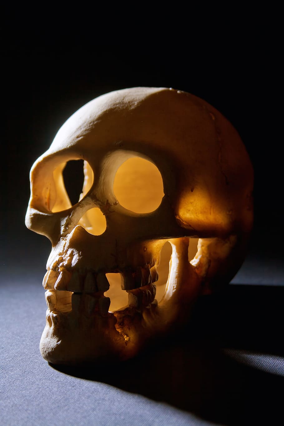 anatomia, os, mort, por, forense, Halloween, cap, horror, humà, aïllat, objecte, scull, esquelet, crani, fantasmal, dent, negre, esquelet humà, crani humà, part del cos humà, tir de l'estudi, os humà, a l'interior, primer pla, fons negre, salut i medicina, fosc, celebració, dolent, sol objecte, dents humanes, carbassa de Halloween, 2K