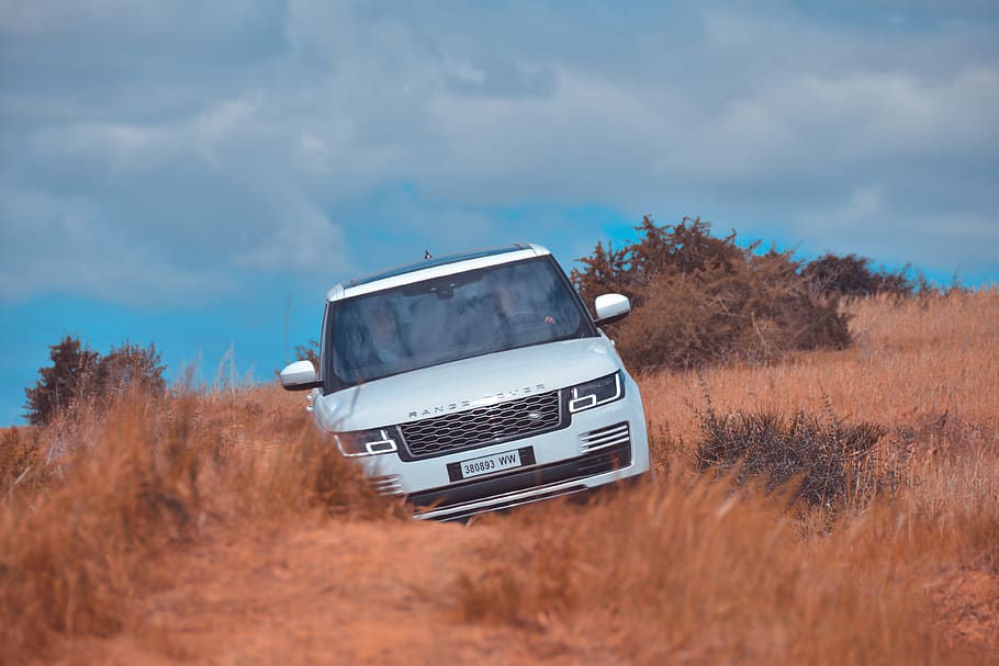 Silver Range Rover Suv, vehicle, cotxe, transport, automòbil, offroad, persona, humà, experiència de jaguar land rover 2019, experiència 2019, manifestació, jeep, pendent, planta, vegetació, arbust, sòl, cotxe de carreres, cotxe esportiu, caravana, furgoneta, cel, manera de transport, núvol - cel, naturalesa, dia, vehicle terrestre, camp, estil retro, terra, cap gent, arbre, abandonat, vell, obsoleta, herba, 4K
