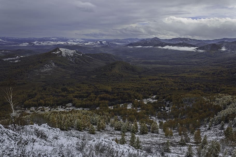 pi, efi, bedoll, bosc, neu, hivern, muntanyes, paisatge, naturalesa, tardor, kuyagan, altai, Rússia, picea, muntanya, bellesa a la natura, medi ambient, escenics - natura, temperatura de fred, cel, planta, dia, cap gent, tranquil·litat, escena tranquil·la, núvol - cel, escena no urbana, Serra, terra, a l'aire lliure, muntanya nevada, 5K