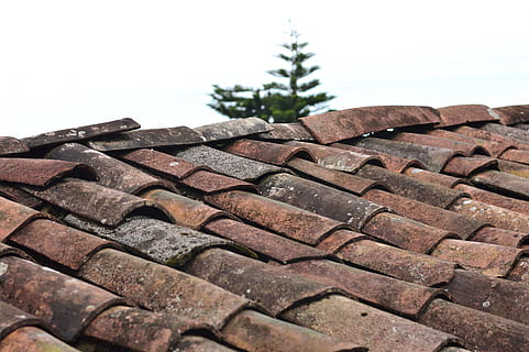 Himmel, Baum, Muster, alt, Haus, traditionell, Fliese, Dach, Konstruktion, die Architektur, Textur, Decke, Dachziegel, keine Leute, klarer Himmel, Tag, Fokus auf den Vordergrund, Nahansicht, Natur, in einer Reihe, gebaute Struktur, draußen, texturiert, Pflanze, Gebäude, Gebäudehülle, Reifen, 5K, CC0, gemeinfrei, lizenzfrei