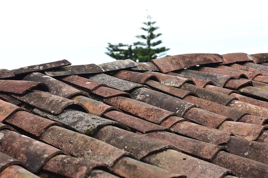 Himmel, Baum, Muster, alt, Haus, traditionell, Fliese, Dach, Konstruktion, die Architektur, Textur, Decke, Dachziegel, keine Leute, klarer Himmel, Tag, Fokus auf den Vordergrund, Nahansicht, Natur, in einer Reihe, gebaute Struktur, draußen, texturiert, Pflanze, Gebäude, Gebäudehülle, Reifen, 5K