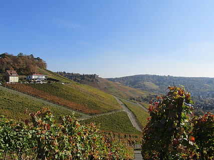 vinice, krajina, panoráma, pole, loza, rostlina, nebe, krása v přírodě, scenics - příroda, životní prostředí, Příroda, hora, klidné scény, klid, přistát, růst, architektura, zemědělství, budova, exteriér budovy, stavba, den, idylický, nikdo, venku, dělání vína, plantáž, 5K, CC0, veřejná doména, bez autorských práv