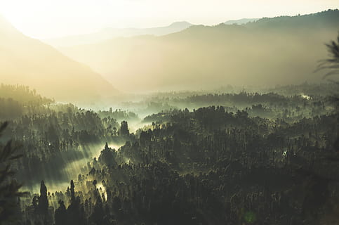 natuur, landschap, berg-, wolken, hemel, zon, bomen, Bos, bossen, zomer, groen, mist, schoonheid in de natuur, scenics - natuur, kalmte, rustige scène, boom, fabriek, niet-stedelijke scène, milieu, bergketen, geen mensen, idyllisch, buitenshuis, dag, vaag, 4K, CC0, publiek domein, royaltyvrij