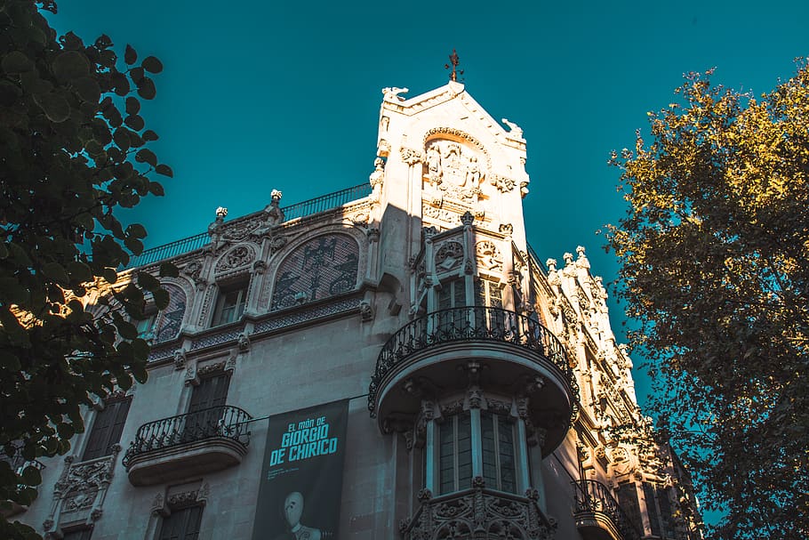 palma, espanya, arbre, arbres, cel, arquitectura, blau, vell, ciutat, cel blau, edifici, exterior de l'edifici, estructura construïda, vista d’angle baix, història, el passat, religió, naturalesa, creença, planta, cap gent, espiritualitat, lloc de culte, torre, a l'aire lliure, rellotge, 5K