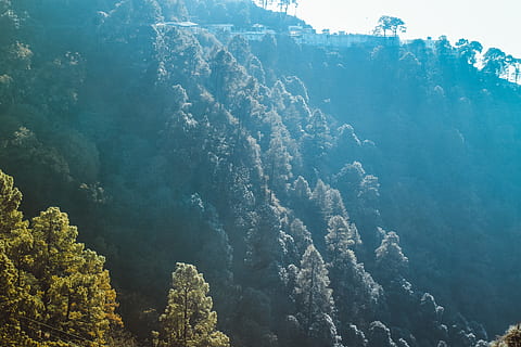 katra, vaishno devi, krása v přírodě, strom, Příroda, scenics - příroda, rostlina, nikdo, klidné scény, životní prostředí, den, klid, les, hora, přistát, vysoký úhel pohledu, venku, růst, mimoměstské scény, slunečního světla, voda, krajina, koruny stromů, jehličnatého stromu, ekosystému, borové lesy, 5K, CC0, veřejná doména, bez autorských práv