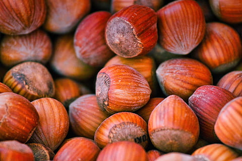 hazelnuts, nuts, food, brown, protein, nutrition, autumn, harvest, food and drink, healthy eating, freshness, wellbeing, large group of objects, nut - food, nut, fruit, close-up, full frame, backgrounds, abundance, no people, day, still life, hazelnut, indoors, selective focus, snack, 5K, CC0, public domain, royalty free