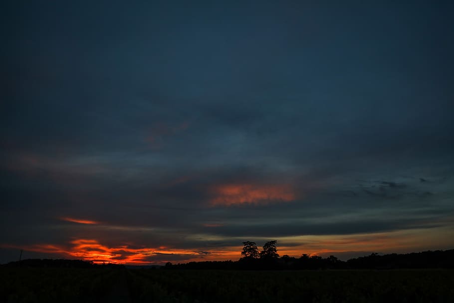 bosc, paisatge, arbres, posta de sol, Redsky, núvols, cel, núvol - cel, escenics - natura, bellesa a la natura, escena tranquil·la, tranquil·litat, color taronja, medi ambient, cap gent, naturalesa, silueta, escena no urbana, terra, cel dramàtic, idíl·lic, vespre, a l'aire lliure, ominós, 5K