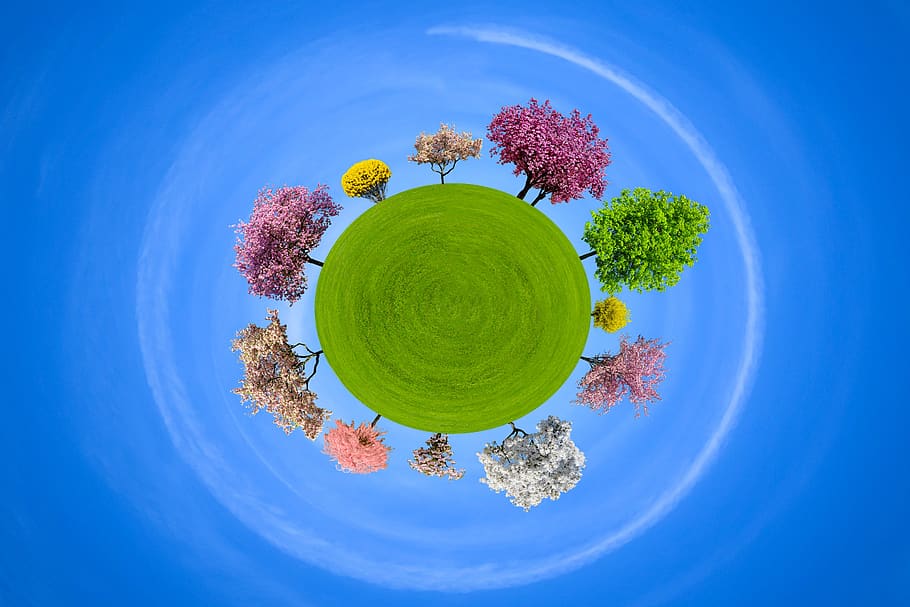 fons, naturalesa, rodó, món, al voltant del món, primavera, arbre, magnòlia, herba, pilota, terra, florir, frühlingsanfang, paisatge, forsythia, al principi, cel, districte, blau, cap gent, directament a sobre, menjar i beguda, placa, color verd, planta, menjar, frescor, forma geomètrica, cercle, fons blau, a l'interior, alimentació saludable, forma, full, taula, compost digital, 2K