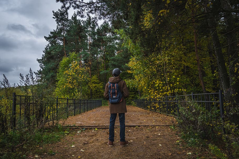 home, de peu, frontal, arbres, motxilla, pont, tapa, la llum del dia, medi ambient, bosc, herba, verd, caminada, paisatge, parc, persona, carretera, ruta, boscos, jove, home jove, arbre, planta, persones reals, una persona, estils de vida, activitat d'oci, creixement, longitud completa, naturalesa, vista del darrere, roba casual, color verd, bellesa a la natura, dia, adult jove, homes, sendera, terra, a l'aire lliure, 5K