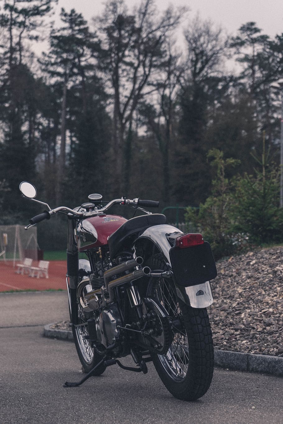 moto nera, mezzi di trasporto, modo di trasporto, albero, strada, veicolo terrestre, motociclo, pianta, giorno, nessuno, stazionario, viaggio, città, natura, concentrarsi sulle conoscenze acquisite, all'aperto, parcheggio, terra, veicolo a motore, auto, ruota, 5K