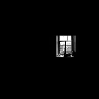cerrado, ventana de panel de vidrio, dentro, oscuro, habitación, ventana, ligero, edificio, ancho de banda, solo, negro, copia espacio, arquitectura, adentro, día, estructura construida, silueta, nadie, material de vidrio, naturaleza, cuarto doméstico, pared - característica de la construcción, estilos de vida, Luz al final del túnel, 4K, CC0, dominio público, libre de derechos