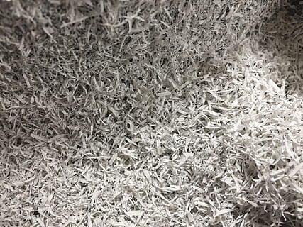 tekstura, biały, szary, światło, ciemny, cień, wióry, mech, roślina, piana, wełna, jedzenie, dywan, aluminium, bezkręgowy, zwierzę, owad krykietowy, owad, oprawa światła, ziemia, pełna ramka, tła, żadnych ludzi, teksturowane, wzór, zbliżenie, dzień, Natura, wysoki kąt widzenia, włókienniczy, wewnątrz, martwa natura, obfitość, zmięty, duża grupa obiektów, dywan - wystrój, 2K, CC0, domena publiczna, darmowe zdjęcia
