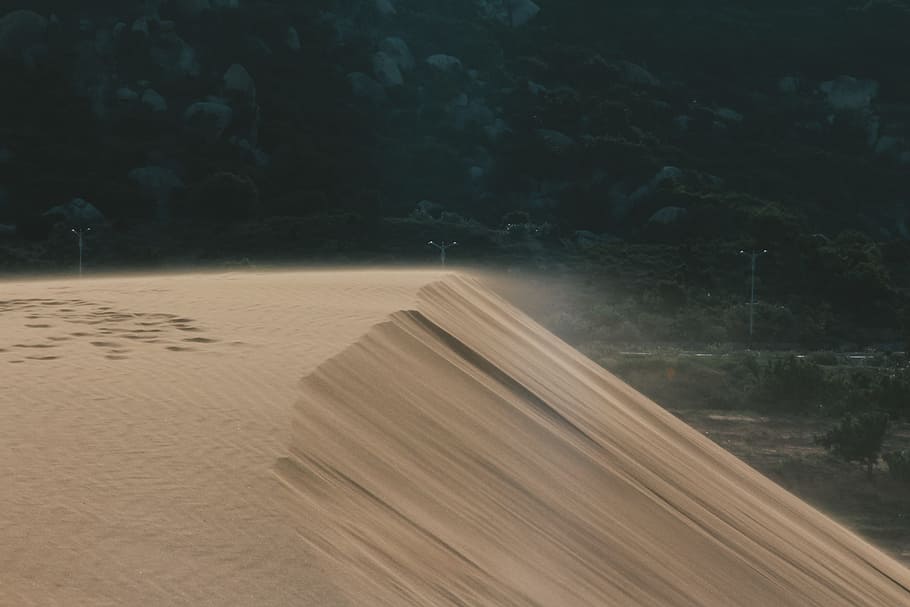 Sand, elektrisch, Post, Tageslicht, Staub, elektrische Pfosten, Landschaft, Natur, Sanddüne, szenisch, Bäume, Land, keine Leute, Baum, Szenen - Natur, Pflanze, Tag, Ruhe, ruhige Szene, draußen, Schönheit in der Natur, Wasser, Strand, Bewegung, Holz - Material, Nicht-städtische Szene, Umgebung, 5K