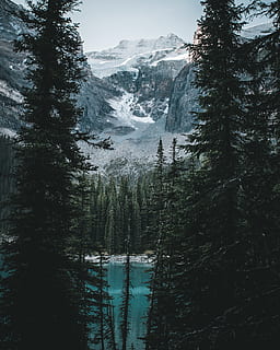 grau, Weiß, Berge, umgeben, Bäume, Wolken, kalt, Nadelbaum, Cornflakes, Tageslicht, Umgebung, Nebel, nebelig, Wald, Frost, hoch, Eis, Landschaft, Gipfel, Natur, Kiefern, Felsen, szenisch, Schnee, Wasser, Wetter, Winter, Baum, Schönheit in der Natur, Pflanze, Ruhe, Szenen - Natur, ruhige Szene, Berg, kalte Temperatur, See, Nicht-städtische Szene, Tag, Himmel, keine Leute, draußen, fließendes Wasser, schneebedeckter Berg, 5K, CC0, gemeinfrei, lizenzfrei