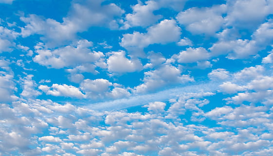 nuvole bianche sparse, cielo, nuvola - cielo, bellezza nella natura, blu, sfondi, fotogramma intero, scenics - natura, Colore bianco, nessuno, natura, idilliaco, Cloudscape, la tranquillità, Inquadratura dal basso, giorno, all'aperto, ambiente, scena tranquilla, meteorologia, colore vibrante, luminosa, pulito, 5K, CC0, dominio pubblico, privo di copyright