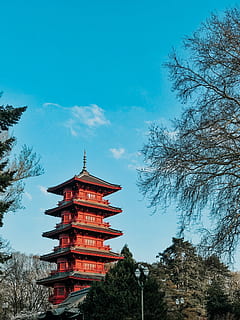 red multi-storey building, ancient, architecture, Asian architecture, building, daylight, daytime, exterior, historic, landmark, landscape, outdoors, shrine, temple, tourism, traditional, travel, trees, tree, plant, sky, nature, built structure, no people, belief, building exterior, low angle view, religion, place of worship, pagoda, spirituality, blue, day, 4K, CC0, public domain, royalty free
