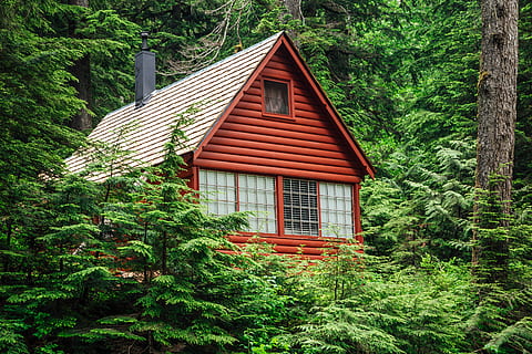 cabina, rodeado, arboles, edificio, árbol, casa, bosque, naturaleza, alojamiento, cabaña, hojas, arquitectura, soledad, de madera, caminata, presentar, desierto, hoja, planta, vegetación, flora, estructura construida, color verde, exterior del edificio, crecimiento, nadie, día, exuberante follaje, follaje, al aire libre, tierra, vista de ángulo bajo, belleza en la naturaleza, Distrito residencial, 5K, CC0, dominio público, libre de derechos