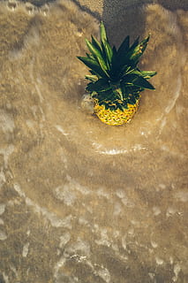 ananas, maro, suprafaţă, fruct, plantă, alimente, Mexic, grand sirenis, apă, ocean, baie, stropi, vibe, plajă, vară, nisip, Joaca, răsărit, de aur, Viata marina, animal, legume și fructe, creştere, nici o persoana, Culoarea verde, a închide, natură, parte a plantelor, frunze, vedere în unghi mare, prospeţime, zi, în aer liber, montare pe perete, galben, frumusețe în natură, vulnerabilitate, selectiv, fragilitate, 5K, CC0, domeniu public, fără drepturi de autor