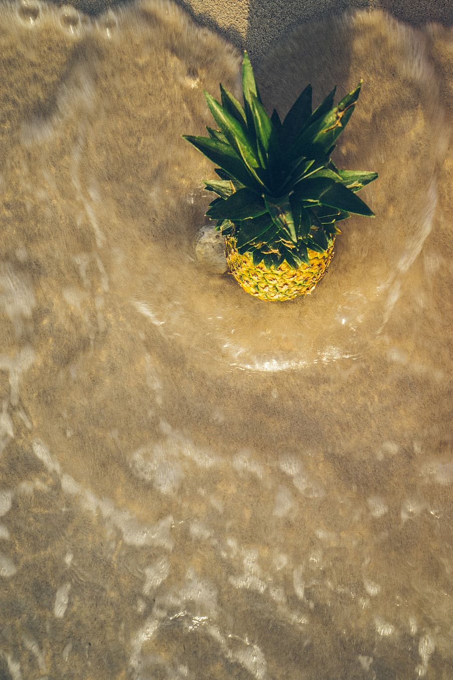 ananas, Brun, overflade, frugt, plante, mad, Mexico, grand sirenis, vand, ocean, bad, plaske, vibes, strand, sommer, sand, Spille, solopgang, gylden, hav liv, dyr, fremstille, vækst, ingen mennesker, grøn farve, tæt på, natur, plante del, blad, høj vinkel visning, friskhed, dag, udendørs, murbygningsfunktion, gul, skønhed i naturen, sårbarhed, selektiv fokusering, skrøbelighed, 5K