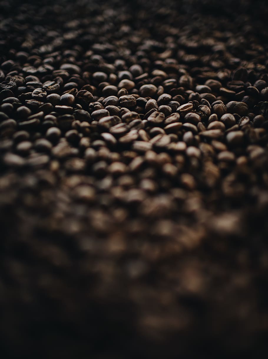 grans de cafè, planta, menjar, produir, mongeta, vegetals, llenties, catifa, gra, llavor, soja, moniato, nyam, pèsol, flor, lupin, mongeta verda, aranja, cítrics, fruita, enfocament selectiu, abundància, cap gent, gra de cafè torrat, marró, gran grup d'objectes, marc complet, cafè, menjar i beguda, a l'interior, cafè - beguda, natura morta, fons, primer pla, frescor, torrat, vista d’angle alt, cafeïna, textura, 5K