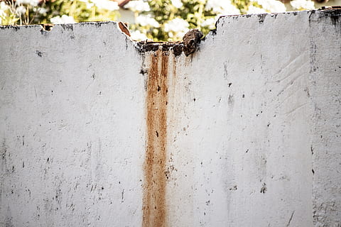 grunge broken wall, background, wall, texture, old, textured, surface, grunge, pattern, abstract, construction, dirty, cement, material, architecture, building, day, no people, wall - building feature, close-up, focus on foreground, invertebrate, built structure, nature, insect, weathered, outdoors, group of animals, apiculture, animals in the wild, sunlight, animal, animal themes, concrete, 4K, CC0, public domain, royalty free