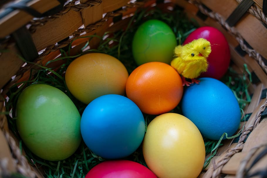 ous de Pasqua, osterkorb, Pasqua, niu de Pasqua, ou, primavera, de colors, cistella, colorit, tema de pasqua, color, decoració, decoració de pasqua, menjar, salutació de pasqua, ous de pollastre, ou de Pasqua, tradició, bio, celebració, decoracions de pasqua, multicolor, ocell, menjar i beguda, animal, temes d'animals, festa, cap gent, primer pla, vertebrats, dia, a l'interior, 5K