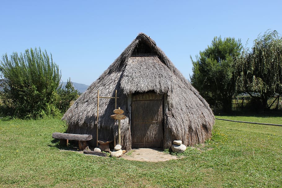mapuche, rvca, contulmo, patrimoni, cultura, planta, arbre, arquitectura, estructura construïda, cel, herba, naturalesa, camp, cel clar, exterior de l'edifici, terra, dia, refugi, paisatge, creixement, cap gent, llum solar, edifici, casa, color verd, a l'aire lliure, 2K
