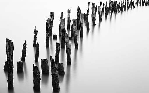 tonuri de gri, trunchiuri de lemn, apă, post, dig, grămadă, aburi, expunere lungă, natură, ocean, mare, lac, stâlpi, pnw, Nord vestul Pacificului, oregon, astorium, fundal alb, reflecţie, monocrom, alb-negru, în aer liber, Asia, lemn - material, siluetă, fundaluri, peisaj, abstract, nici o persoana, o scenă liniștită, 5K, CC0, domeniu public, fără drepturi de autor
