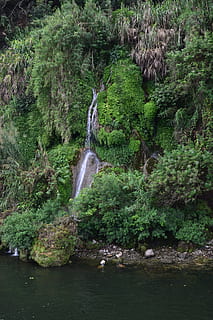 wodospady, Chiny, Guilin Shi, malownicze okolice lijian gudong, flora, wegetacja, drzewo, roślina, na dworze, Natura, wylądować, dżungla, las, Las deszczowy, staw, woda, trawa, trzcina, krzak, rzeka, strumień, ruch, scenics - natura, piękno natury, wodospad, długa ekspozycja, zielony kolor, Płynąca woda, niewyraźny ruch, nabrzeże, wzrost, dzień, skała, środowisko, żadnych ludzi, płynący, strumień - płynąca woda, moc w naturze, Spadająca woda, 5K, CC0, domena publiczna, darmowe zdjęcia
