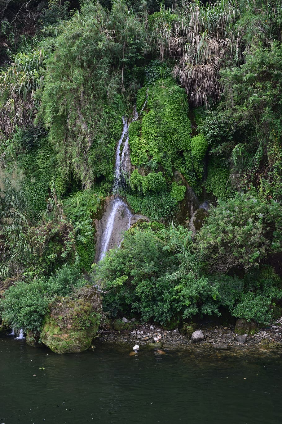 Wasserfälle, China, Guilin Shi, lijian gudong landschaftsgebiet, Flora, Vegetation, Baum, Pflanze, draußen, Natur, Land, Urwald, Wald, Regenwald, Teich, Wasser, Gras, Schilf, Buchse, Fluss, Strom, Bewegung, Szenen - Natur, Schönheit in der Natur, Wasserfall, Langzeitbelichtung, grüne Farbe, fließendes Wasser, Bewegungsunschärfe, Ufergegend, Wachstum, Tag, Rock, Umgebung, keine Leute, fließend, Kraft in der Natur, fallendes Wasser, 5K