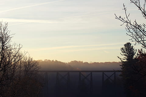 togbro, togspor, trær, tre, anlegg, himmel, solnedgang, natur, ingen folk, naturskjønnhet - natur, arkitektur, rolig scene, bare tre, skjønnhet i naturen, ro, forbindelse, bygget struktur, silhouette, sky - himmel, utendørs, gren, bro, vann, 2K, CC0, offentlig domene, opphavsrett gratis