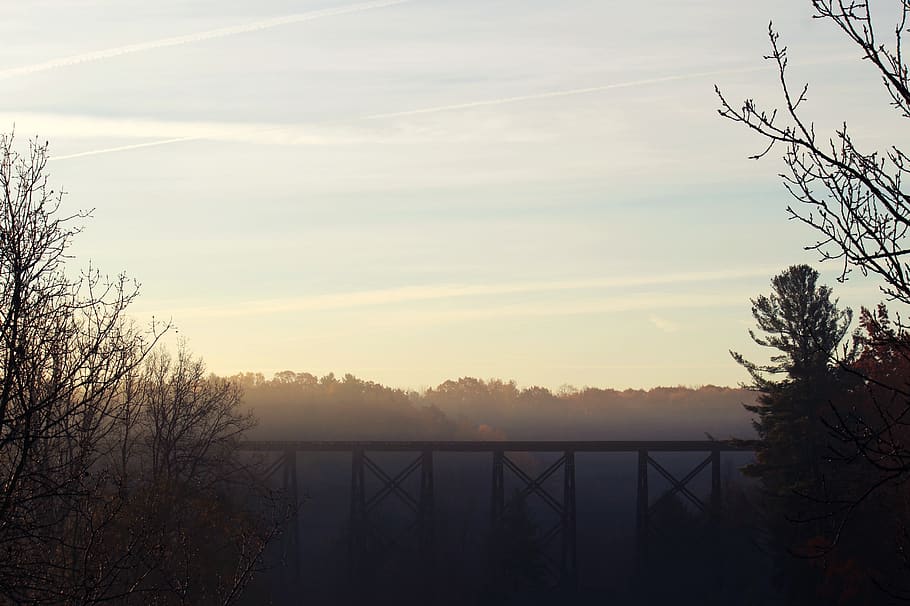 togbro, togspor, træer, træ, plante, himmel, solnedgang, natur, ingen mennesker, scenics - natur, arkitektur, rolig scene, bare træ, skønhed i naturen, ro, forbindelse, bygget struktur, silhuet, sky - himmel, udendørs, afdeling, bro, vand, 2K